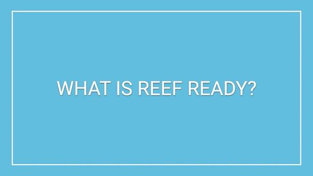 We’re welcoming Anthony Scudieri, Head of Regulatory, to the Bentley Bench this week. He’s an expert on all the rules and he’s talking Reef Ready today.